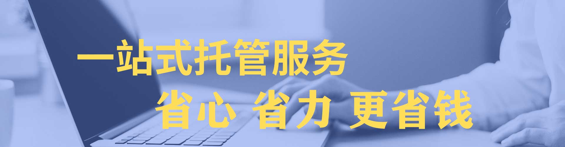 紫云布如何做sem